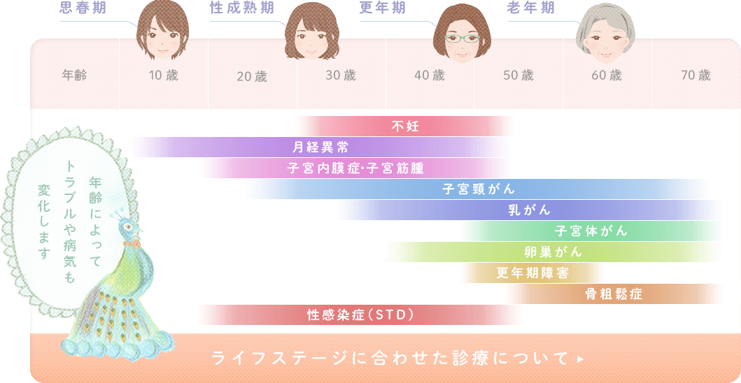 女性のライフステージに合わせた診療